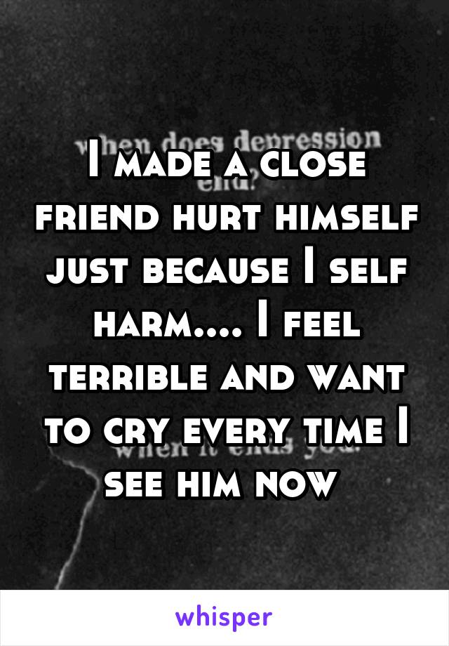 I made a close friend hurt himself just because I self harm.... I feel terrible and want to cry every time I see him now 