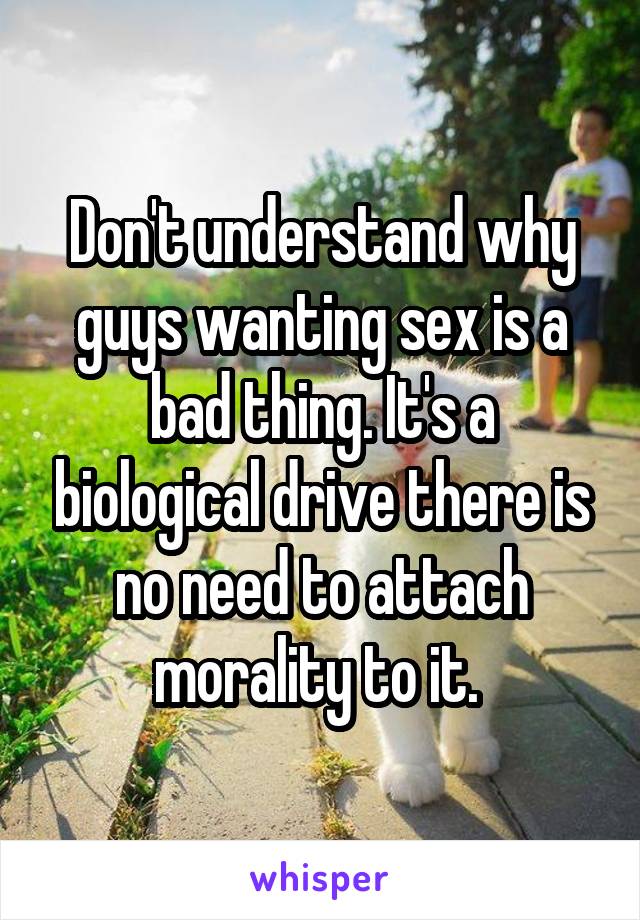 Don't understand why guys wanting sex is a bad thing. It's a biological drive there is no need to attach morality to it. 