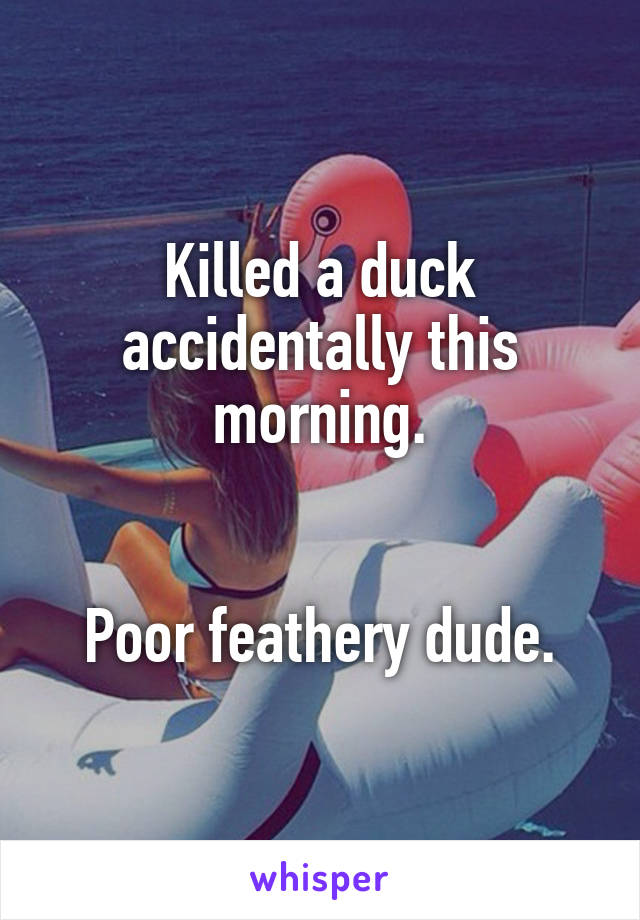 Killed a duck accidentally this morning.


Poor feathery dude.