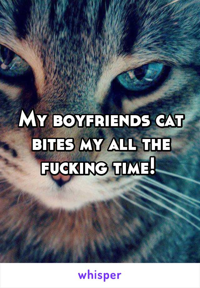 My boyfriends cat bites my all the fucking time! 