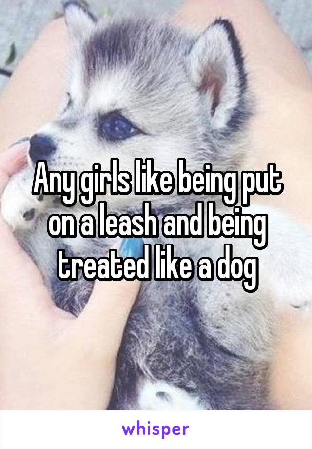 Any girls like being put on a leash and being treated like a dog