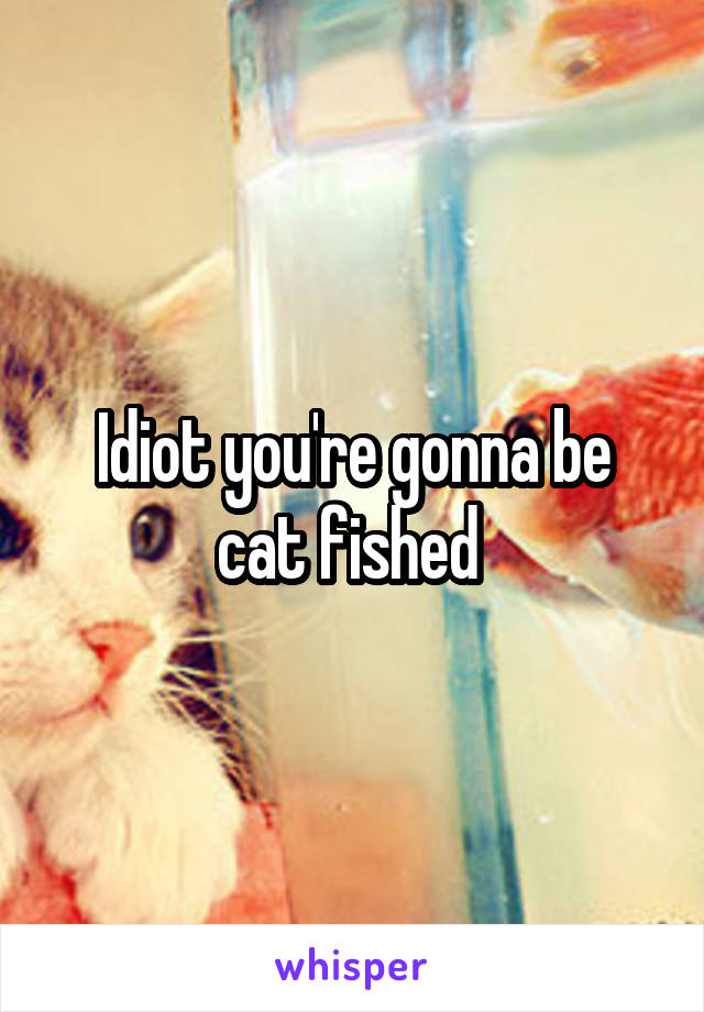 Idiot you're gonna be cat fished 