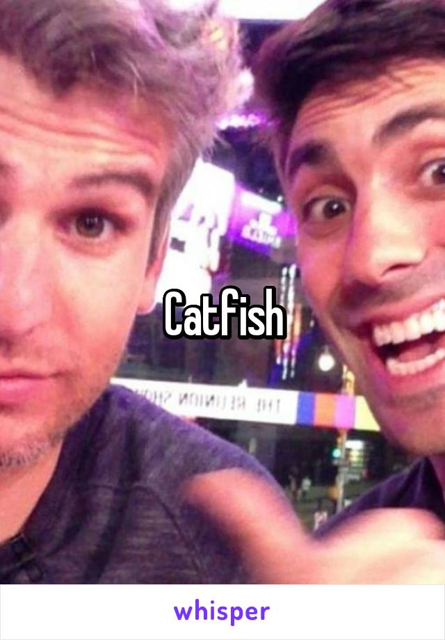 Catfish