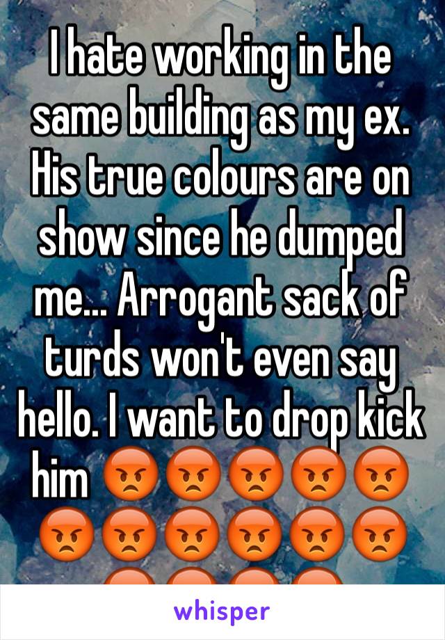 I hate working in the same building as my ex. His true colours are on show since he dumped me... Arrogant sack of turds won't even say hello. I want to drop kick him 😡😡😡😡😡😡😡😡😡😡😡😡😡😡😡