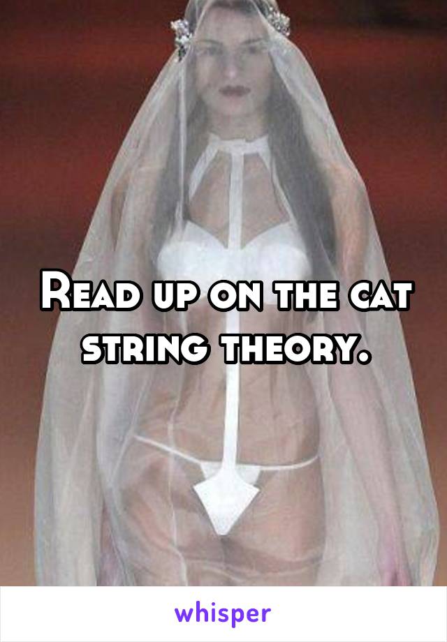 Read up on the cat string theory.