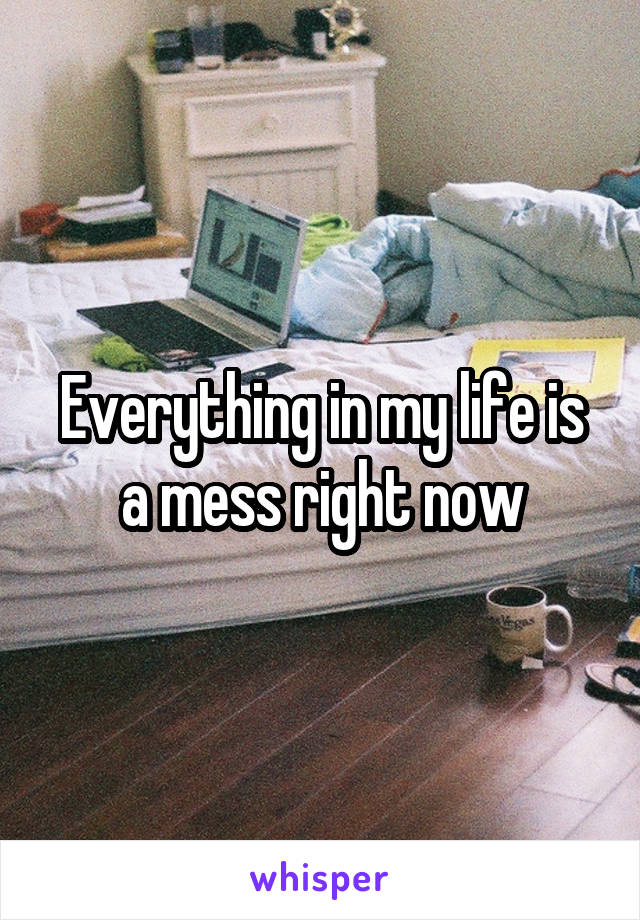 Everything in my life is a mess right now