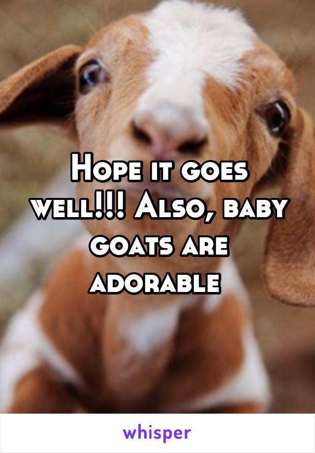 Hope it goes well!!! Also, baby goats are adorable 