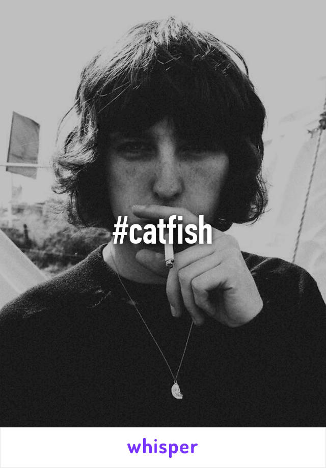 #catfish