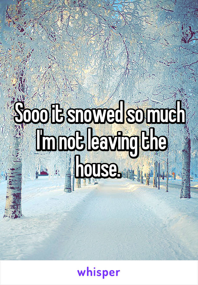 Sooo it snowed so much  I'm not leaving the house. 