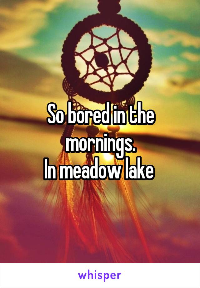 So bored in the mornings.
In meadow lake 