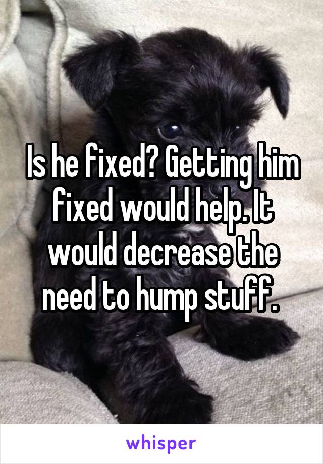 Is he fixed? Getting him fixed would help. It would decrease the need to hump stuff. 