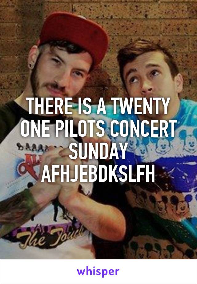 THERE IS A TWENTY ONE PILOTS CONCERT SUNDAY AFHJEBDKSLFH