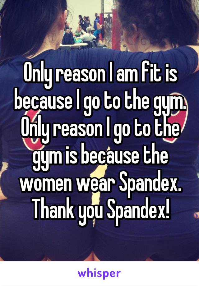 Only reason I am fit is because I go to the gym. Only reason I go to the gym is because the women wear Spandex. Thank you Spandex!