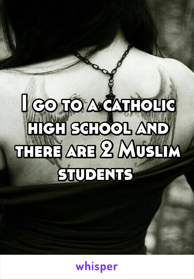 I go to a catholic high school and there are 2 Muslim students 