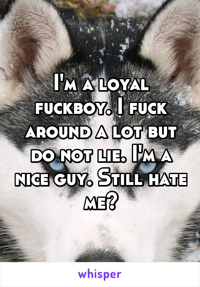 I'm a loyal fuckboy. I fuck around a lot but do not lie. I'm a nice guy. Still hate me?