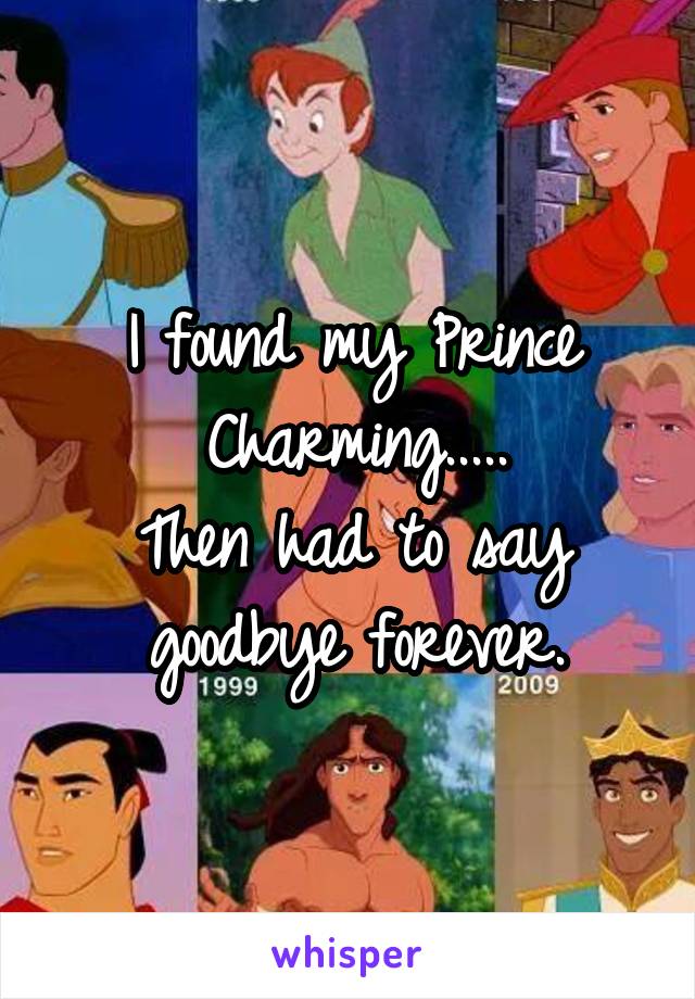 I found my Prince Charming.....
Then had to say goodbye forever.