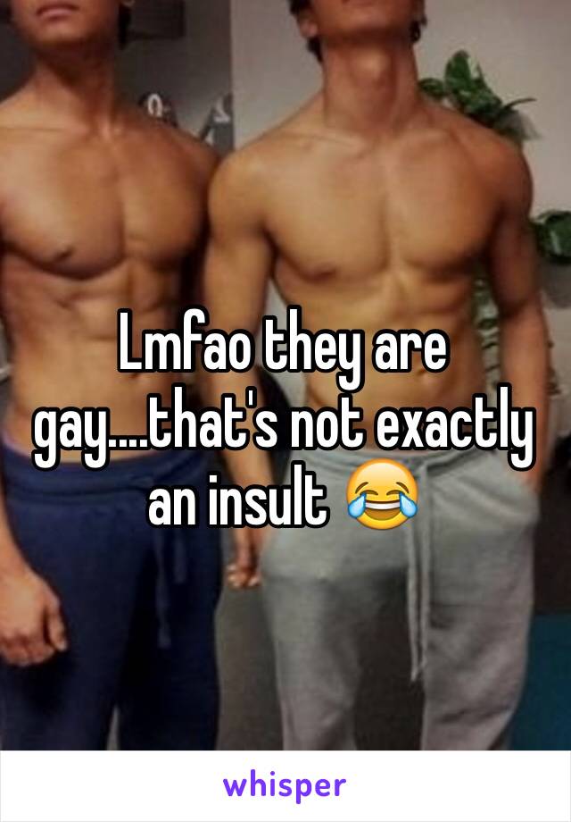 Lmfao they are gay....that's not exactly an insult 😂