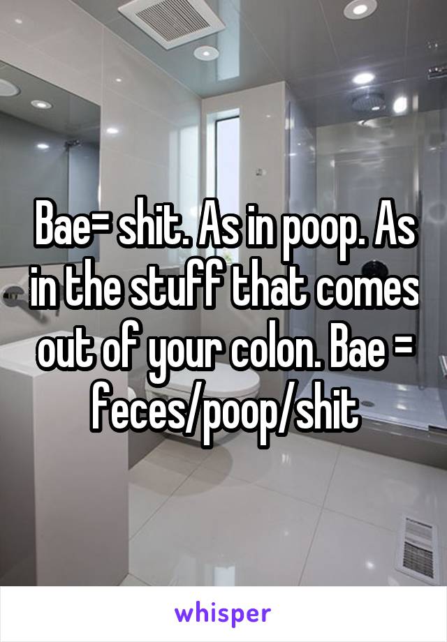 Bae= shit. As in poop. As in the stuff that comes out of your colon. Bae = feces/poop/shit