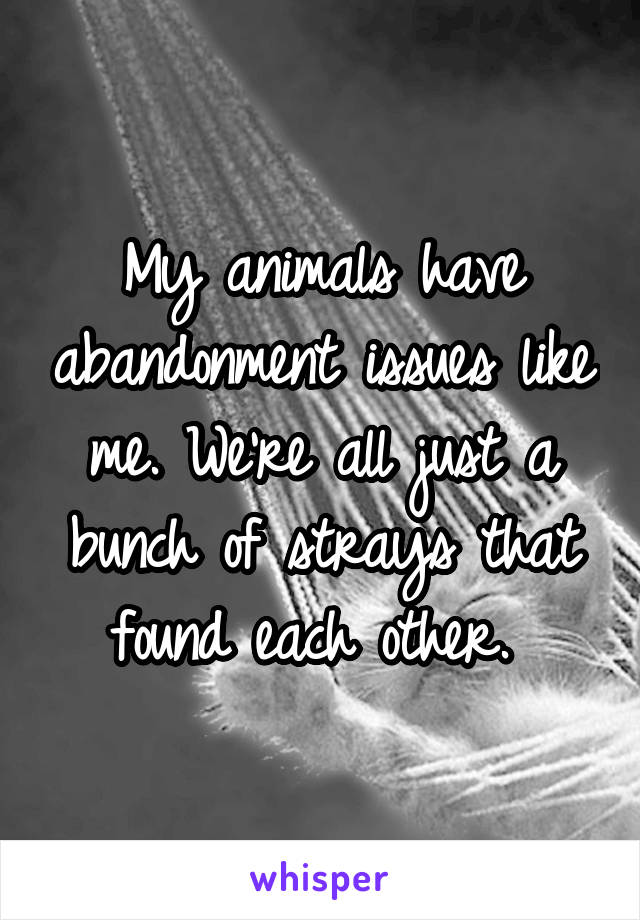 My animals have abandonment issues like me. We're all just a bunch of strays that found each other. 