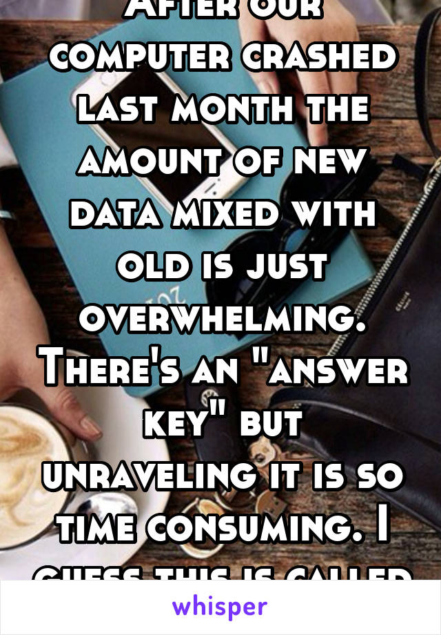 After our computer crashed last month the amount of new data mixed with old is just overwhelming. There's an "answer key" but unraveling it is so time consuming. I guess this is called job security