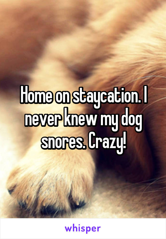 Home on staycation. I never knew my dog snores. Crazy!