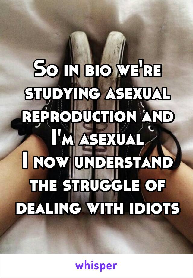 So in bio we're studying asexual reproduction and I'm asexual
I now understand the struggle of dealing with idiots