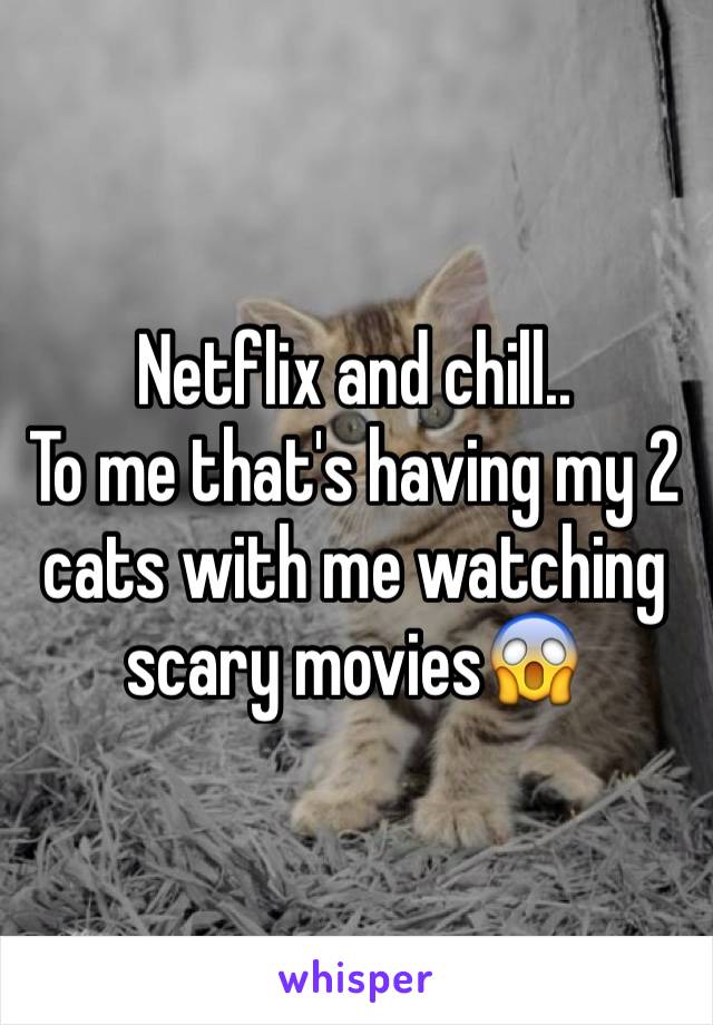 Netflix and chill.. 
To me that's having my 2 cats with me watching scary movies😱