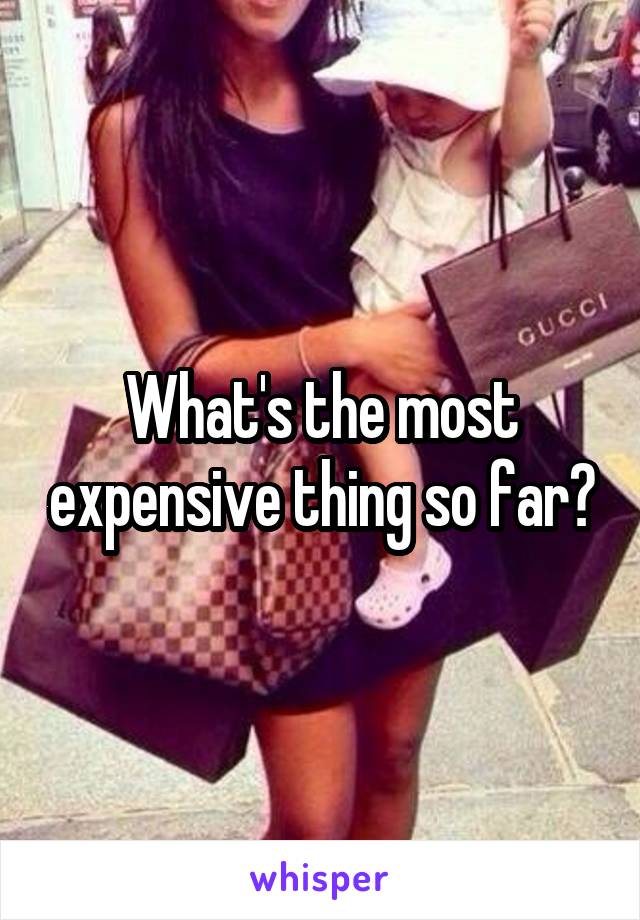 What's the most expensive thing so far?