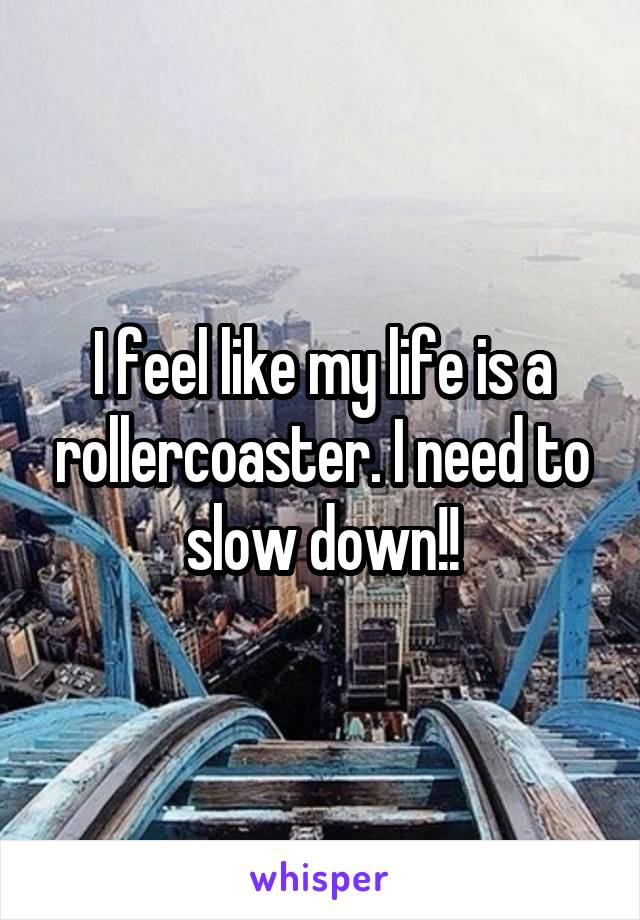 I feel like my life is a rollercoaster. I need to slow down!!