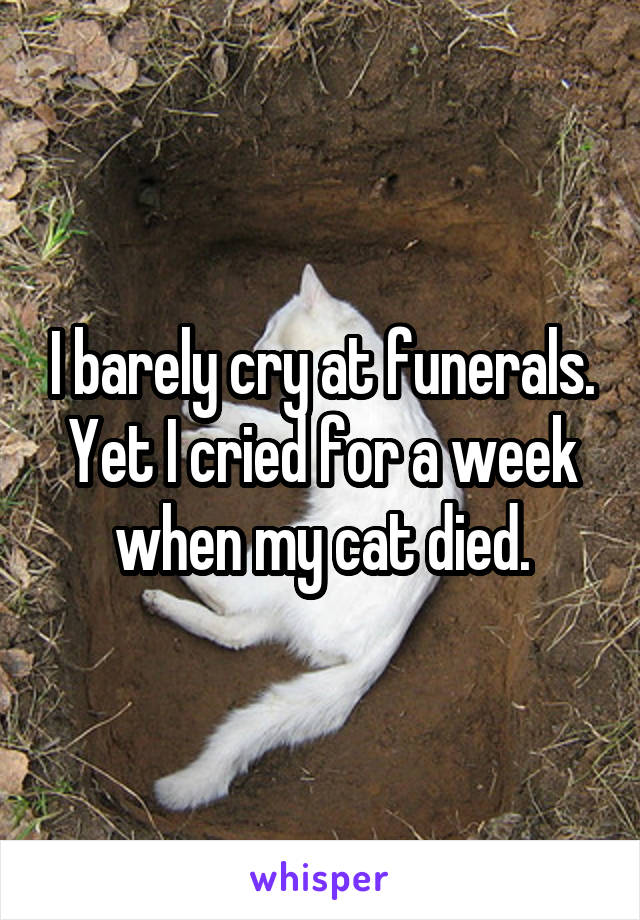 I barely cry at funerals. Yet I cried for a week when my cat died.