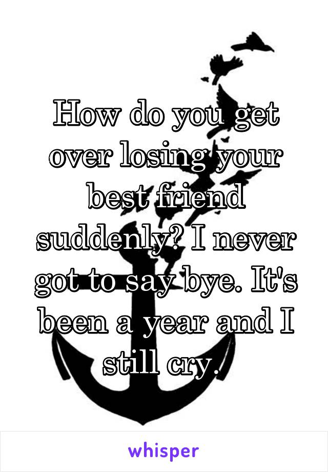 How do you get over losing your best friend suddenly? I never got to say bye. It's been a year and I still cry. 