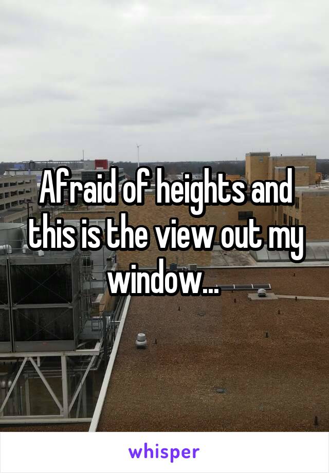 Afraid of heights and this is the view out my window... 