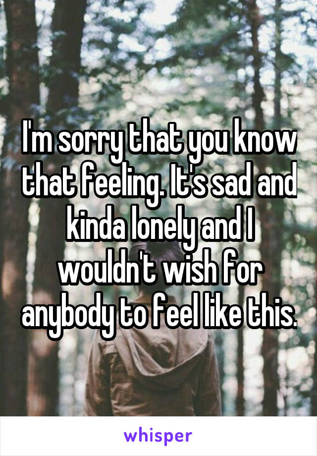 I'm sorry that you know that feeling. It's sad and kinda lonely and I wouldn't wish for anybody to feel like this.