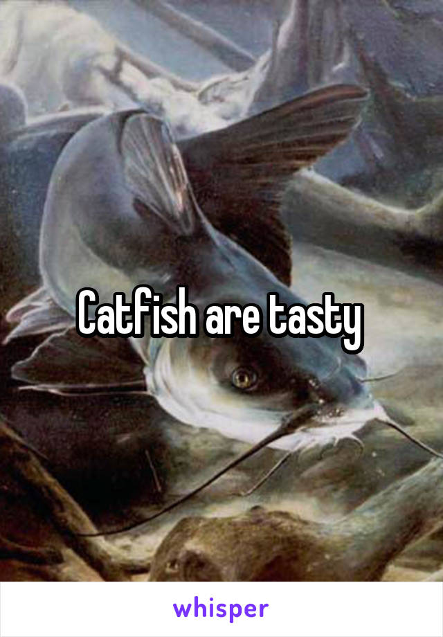 Catfish are tasty 