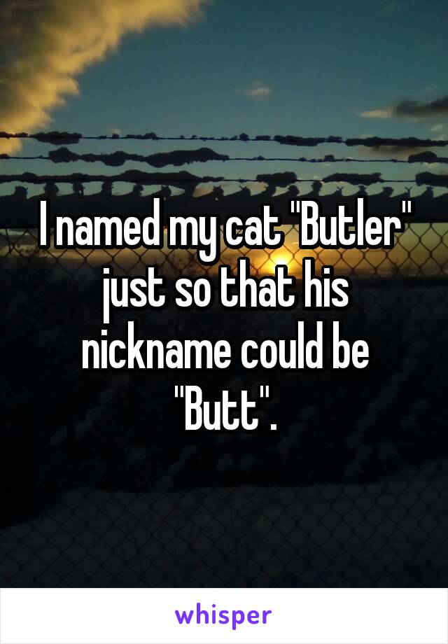 I named my cat "Butler" just so that his nickname could be "Butt".