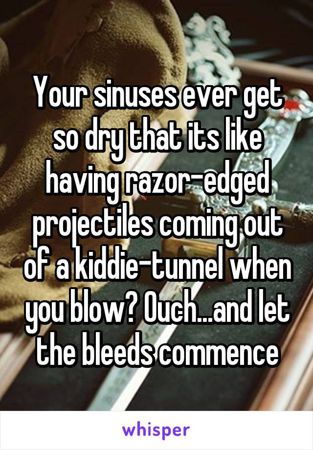 Your sinuses ever get so dry that its like having razor-edged projectiles coming out of a kiddie-tunnel when you blow? Ouch...and let the bleeds commence