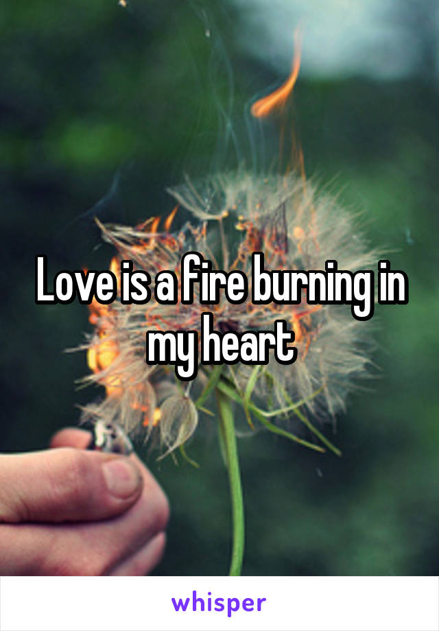 Love is a fire burning in my heart