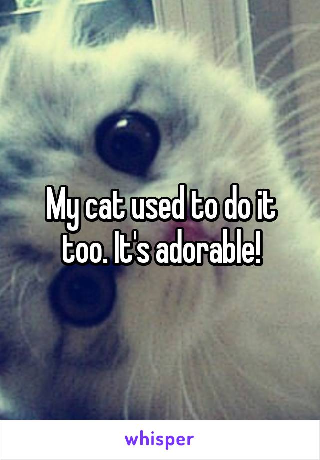 My cat used to do it too. It's adorable!