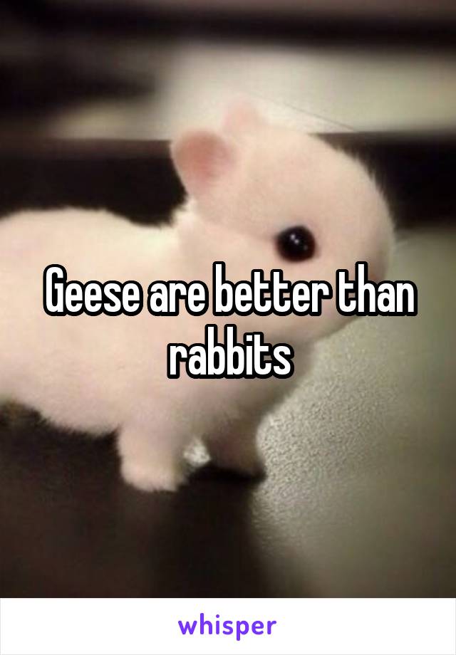 Geese are better than rabbits