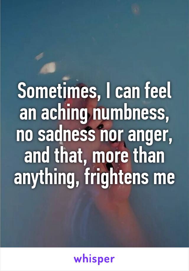 Sometimes, I can feel an aching numbness, no sadness nor anger, and that, more than anything, frightens me