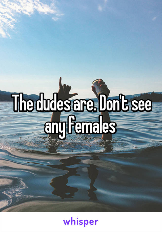 The dudes are. Don't see any females 