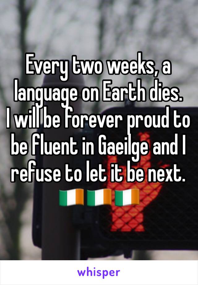 Every two weeks, a language on Earth dies.
I will be forever proud to be fluent in Gaeilge and I refuse to let it be next.
🇮🇪🇮🇪🇮🇪