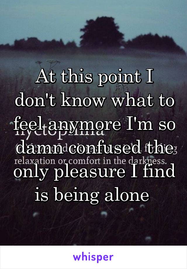 At this point I don't know what to feel anymore I'm so damn confused the only pleasure I find is being alone 