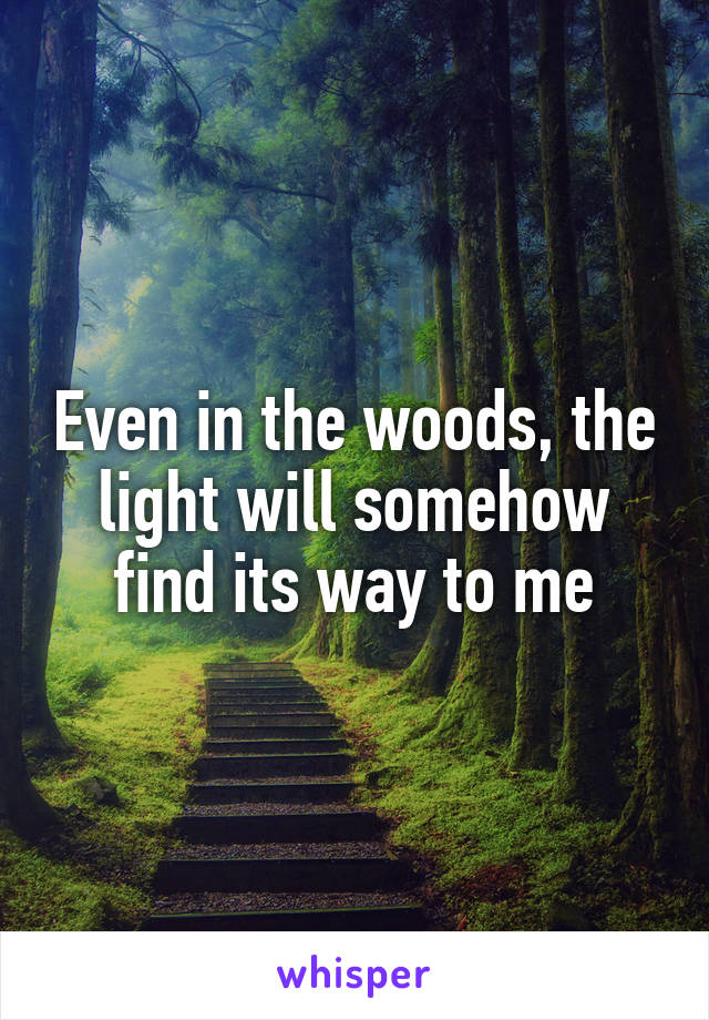 Even in the woods, the light will somehow find its way to me