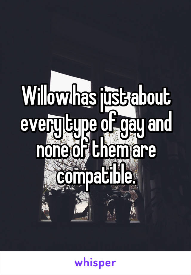 Willow has just about every type of gay and none of them are compatible.