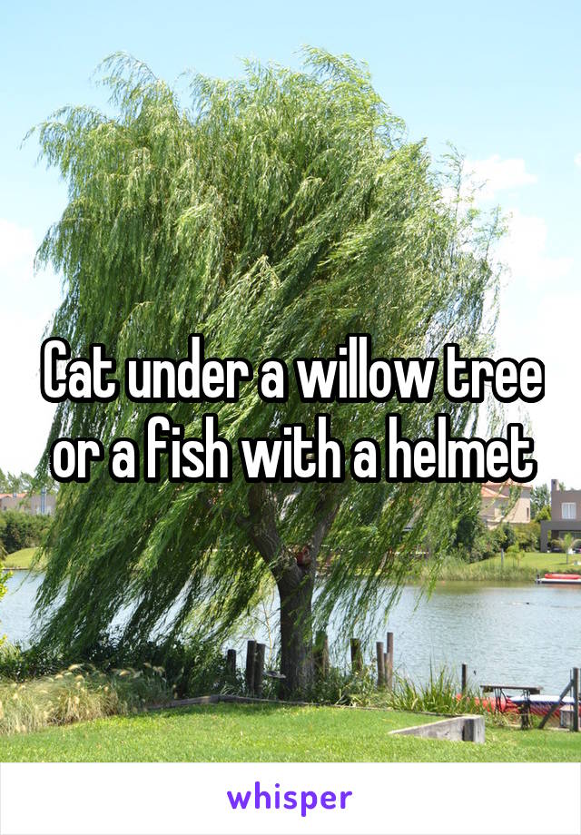 Cat under a willow tree or a fish with a helmet