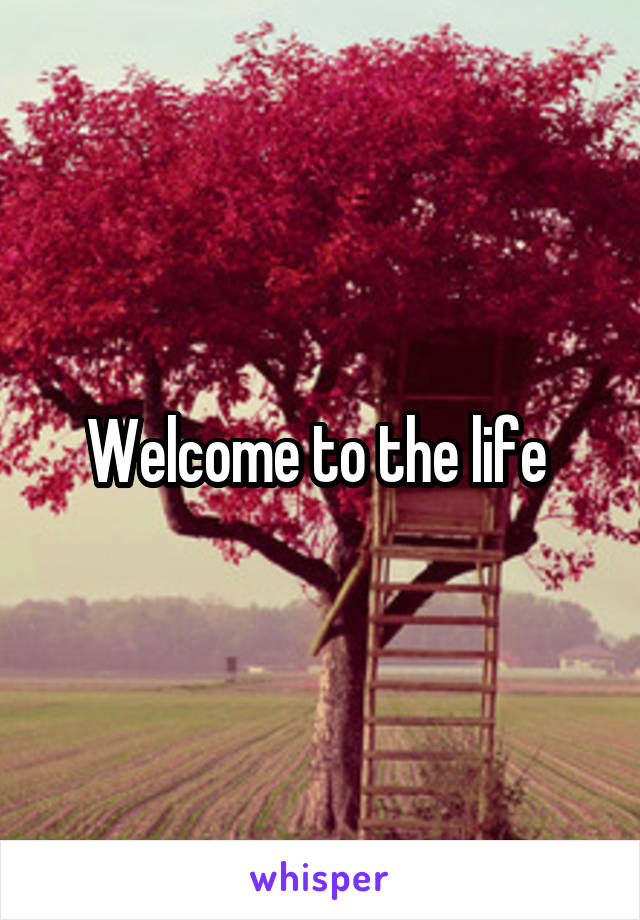 Welcome to the life 