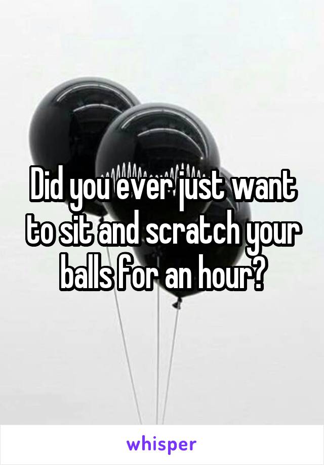 Did you ever just want to sit and scratch your balls for an hour?