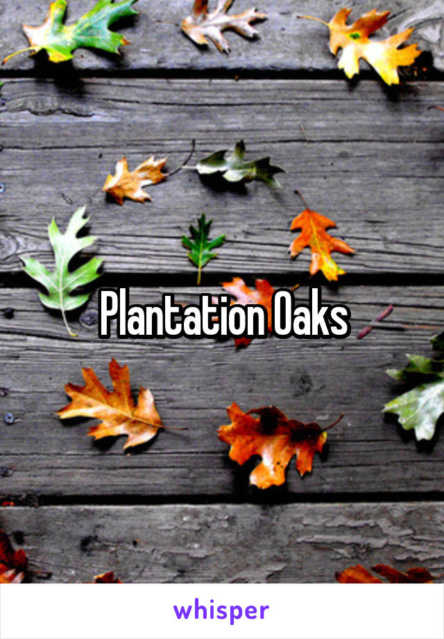 Plantation Oaks