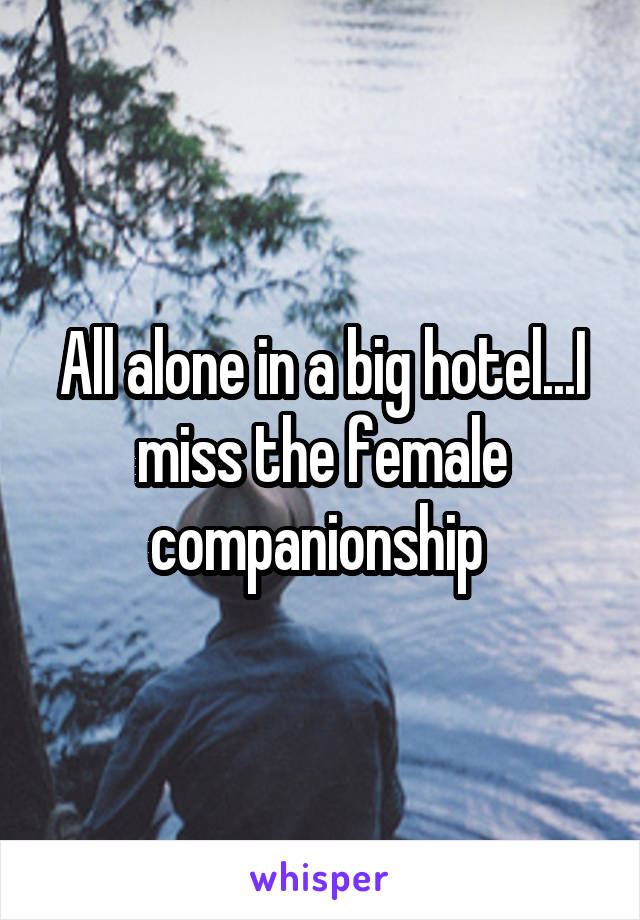 All alone in a big hotel...I miss the female companionship 